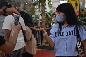 07. Pengunjung Anak Sedang Ayik Berfoto Dengan Tarantula di Love in Plant